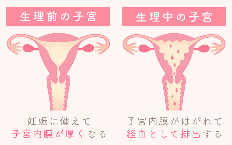 生理不順と生理周期