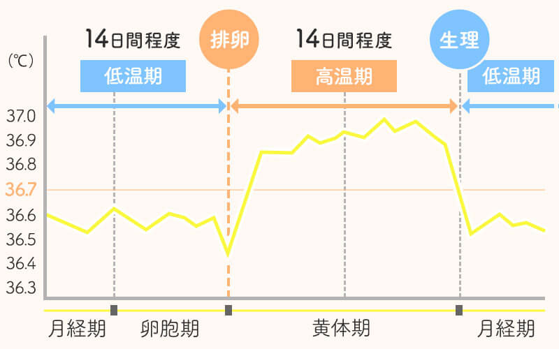 生理前に体温が37度!?微熱がある