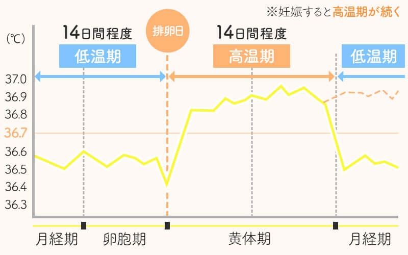 妊娠初期症状と生理前の違いとは？