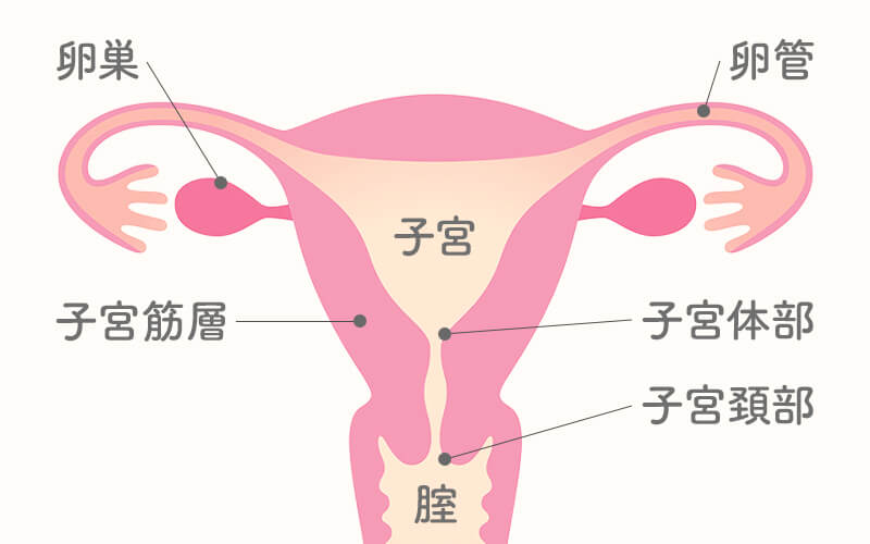 生理以外の血…茶色の出血が!？